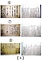紙本墨書　糸賀家文書