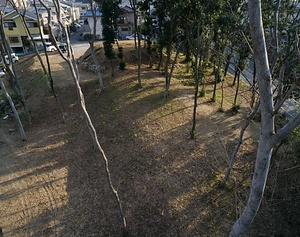 庭鳥塚古墳