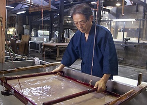 阿波手漉き和紙製造の技法 あわてすきわしせいぞうのぎほう