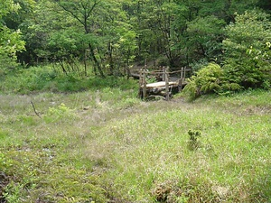 北山湿地 きたやましっち