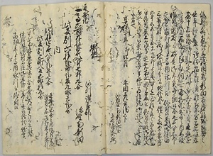 平野屋新田会所文書 ひらのやしんでんかいしょもんじょ