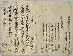 平野屋新田会所文書 ひらのやしんでんかいしょもんじょ
