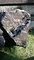 東園寺碑拓本掛け軸、東園寺碑残欠<br />
