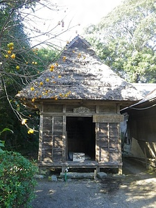築地熊野神社本殿および薬師堂 ついじくまのじんじゃほんでんおよびやくしどう