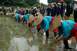 近津神社の中田植 ちかつじんじゃのちゅうだうえ