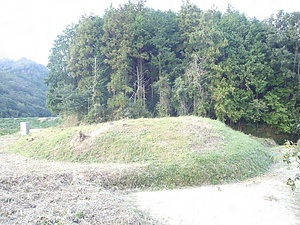向井古墳