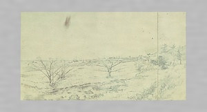 素描(43点)