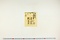 (問屋場0189）豆州三島明神領新田畑辰御年貢割付之事