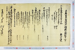 (問屋場0206）子年豆州三嶋明神領新田畑割付之事