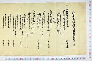 (問屋場0216）卯年豆州三嶋明神領新田畑割付之事