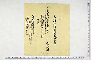 (問屋場0397）三島神領新田畑戌年割付