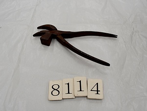 8114 ワニ