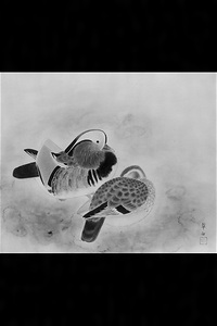 鴛鴦図