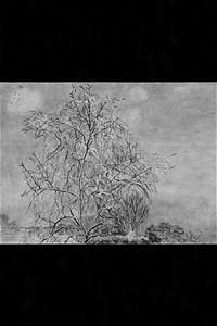柳芽吹く頃