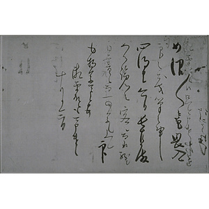 北向雲竹消息