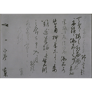 近衛家熈消息