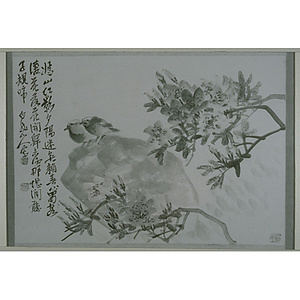 杜鵑図