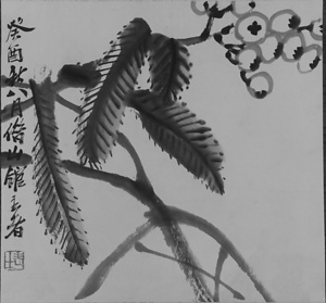 枇杷図 民国２２年８月