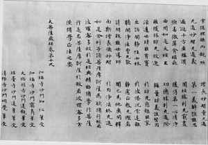 大菩薩蔵経巻第十九