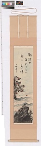 崖椿