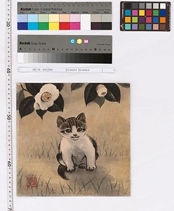子猫・椿樹