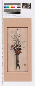 掛花生の山茶花