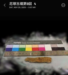 尼塚古墳出土鎌第9図４