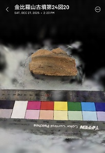 金比羅山古墳出土普通円形埴輪第24図20