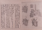 医範提綱図解
