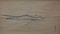 海浜図