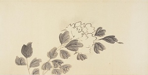 雑画巻　22）牡丹図