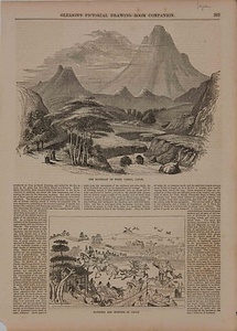 富士山／日本の鷹狩