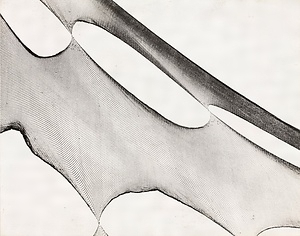 網（1）