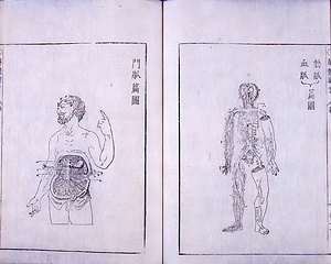 解体新書 かいたいしんしょ