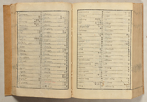 『訳鍵』〈三瀬諸淵朱書本〉
