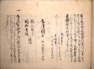 伊予国松山在勤中并道中往返日記 いよのくにまつやまざいきんちゅうならびにおうへんにっき