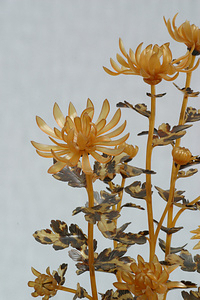 鼈甲製菊花鉢植棚飾 べっこうせいきっかはちうえたなかざり