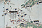 長崎港鳥瞰図
