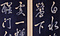 紺紙白字詩書屏風