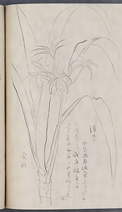 下絵帖 したえじょう