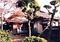 岡本家住宅主屋