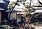 旧柚木家住宅（西爽亭）主屋