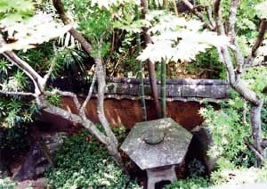郷屋敷（旧井上家住宅）中練塀