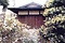 西田家住宅離れ座敷