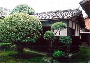 東門脇家住宅化粧部屋