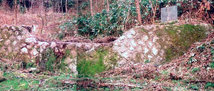 正法寺川南沢第九号の一石堰堤