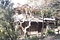 寺内家住宅旧別荘