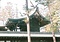 象山神社本殿