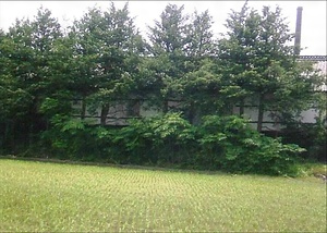 飯田家住宅醸造蔵一 いいだけじゅうたくじょうぞうぐらいち