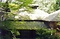 法師温泉長寿館大浴場（法師乃湯）